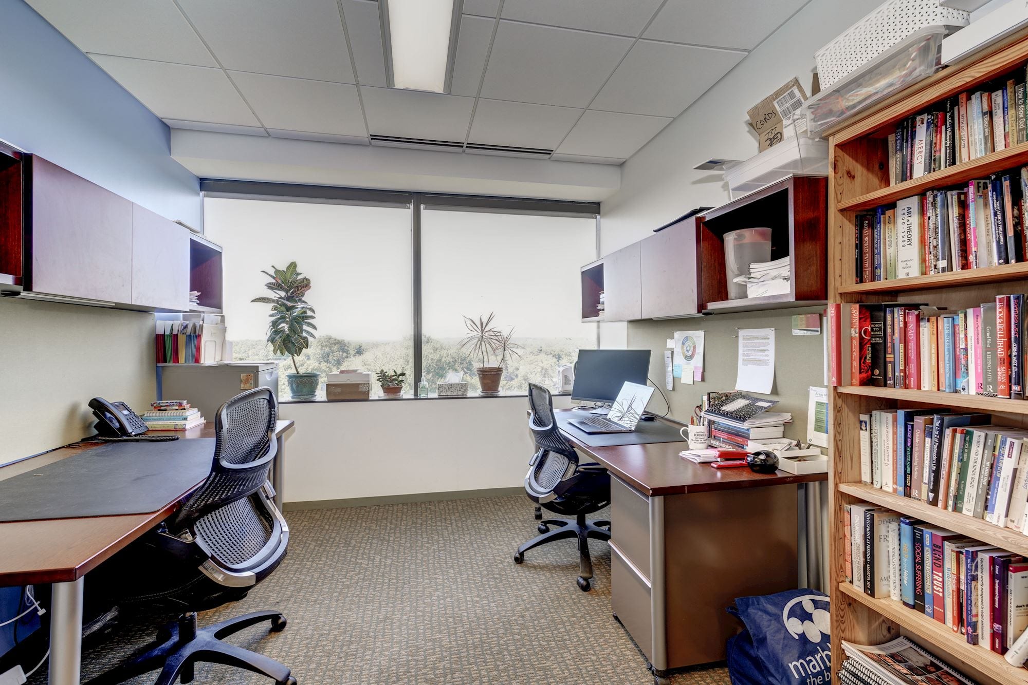 Shared office space at the Carr Workplaces Clarendon location with a stacked bookshelf